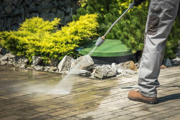 Best Sidewalk and Walkway Cleaning  in Sharon, TN