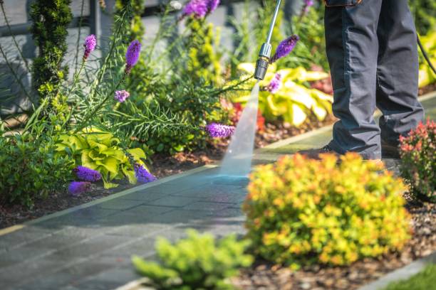 Reliable Sharon, TN Pressure Washing Services Solutions